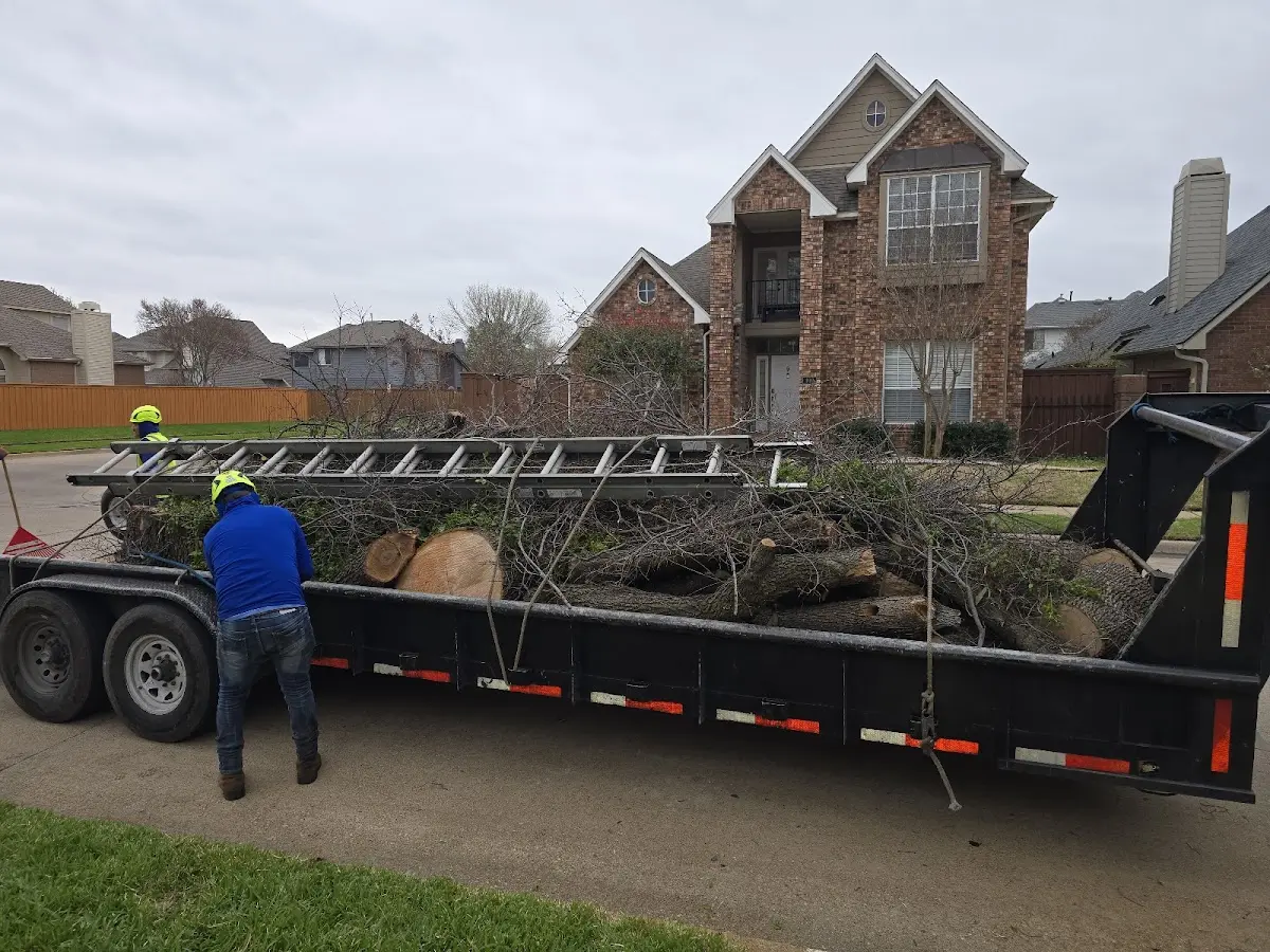 Expert Lot Clearing with proper safety equipment in Brogue